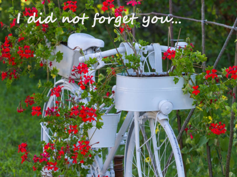 I did not forget you…