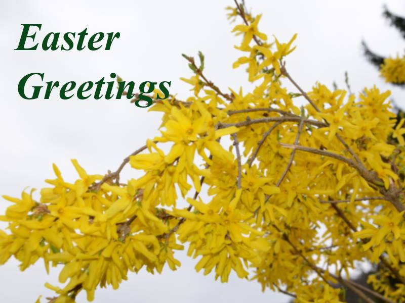 Easter Greetings