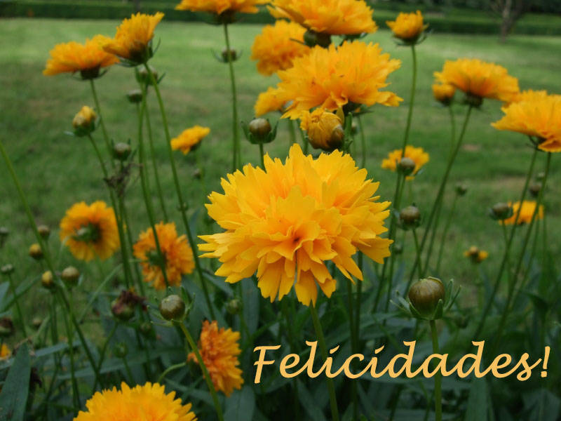 Felicidades!