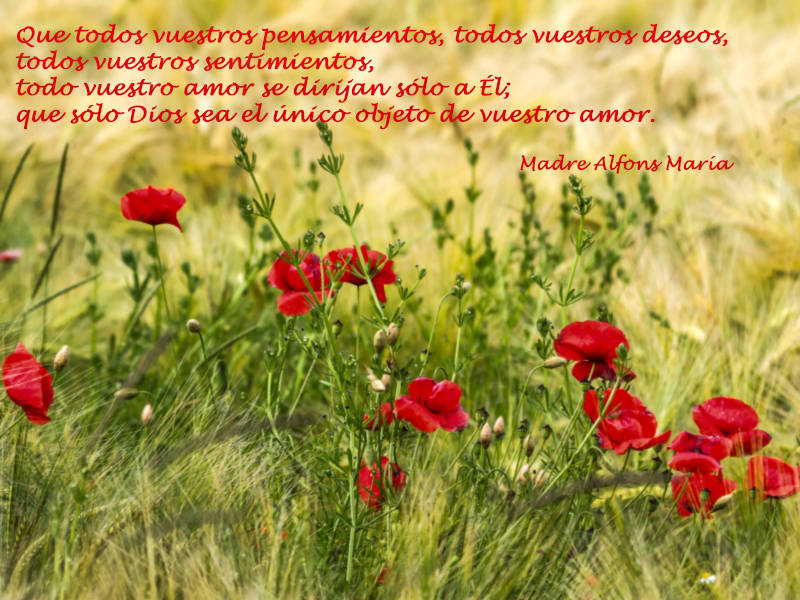 Que todos vuestros pensamientos, todos vuestros deseos, todos vuestros sentimientos, todo vuestro amor se dirijan sólo a Él; que sólo Dios sea el único objeto de vuestro amor.