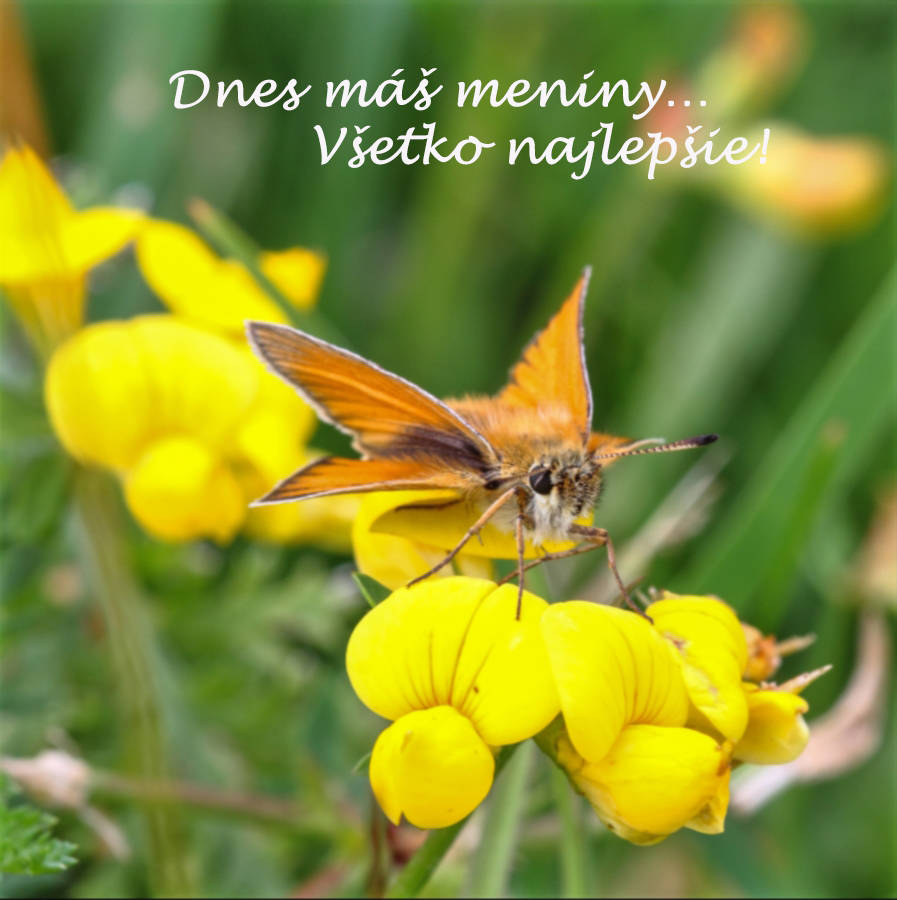 Dnes máš meniny… Všetko najlepšie!