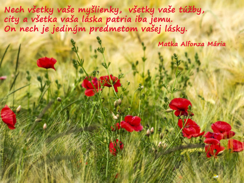 Nech všetky vaše myšlienky, všetky vaše túžby, city a všetka vaša láska patria iba jemu. On nech je jediným predmetom vašej lásky.