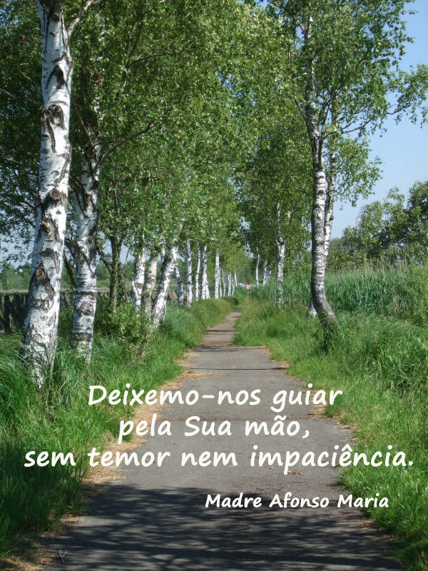 Deixemo-nos guiar pela Sua mão, sem temor nem impaciência.