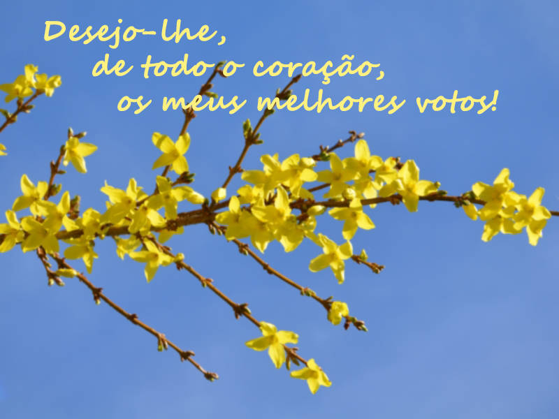 Desejo-lhe, de todo o coração, os meus melhores votos!
