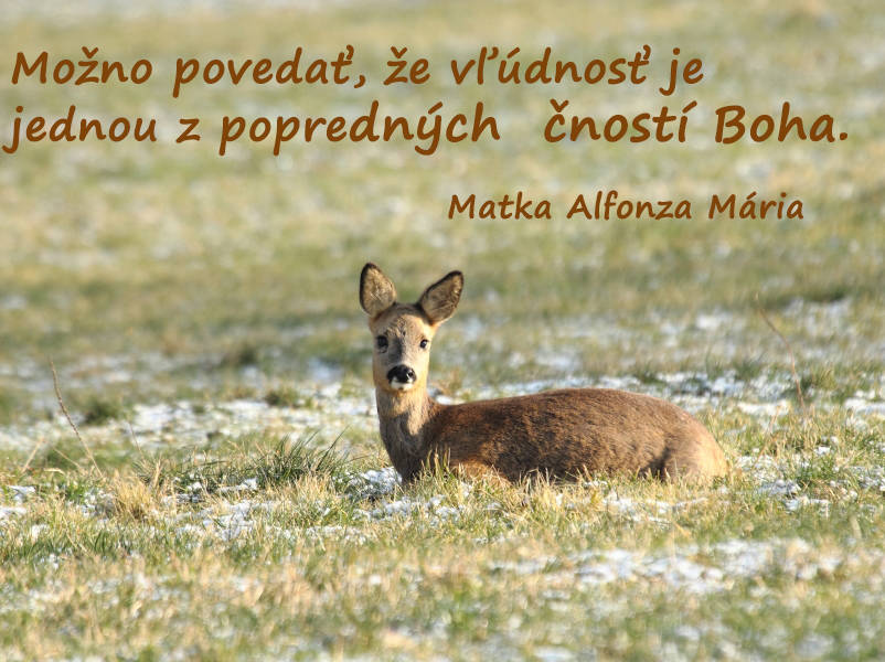 Možno povedať, že vľúdnosť je jednou z popredných čností Boha.