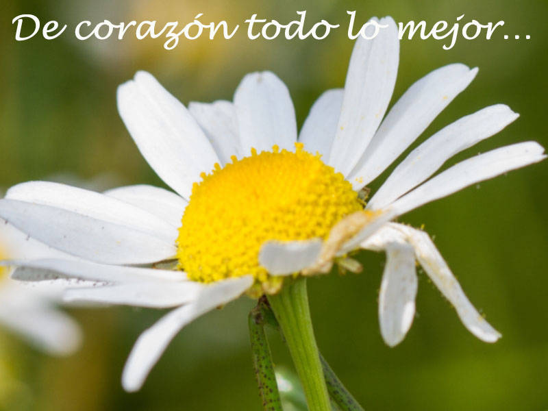 De corazón todo lo mejor…