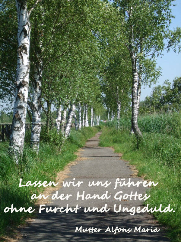 Lassen wir uns führen an der Hand Gottes ohne Furcht und Ungeduld.