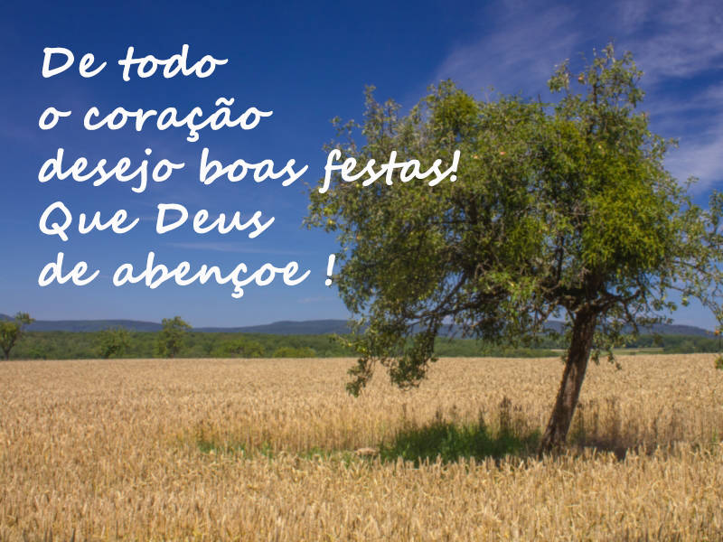 De todo o coração desejo boas festas! Que Deus de abençoe !