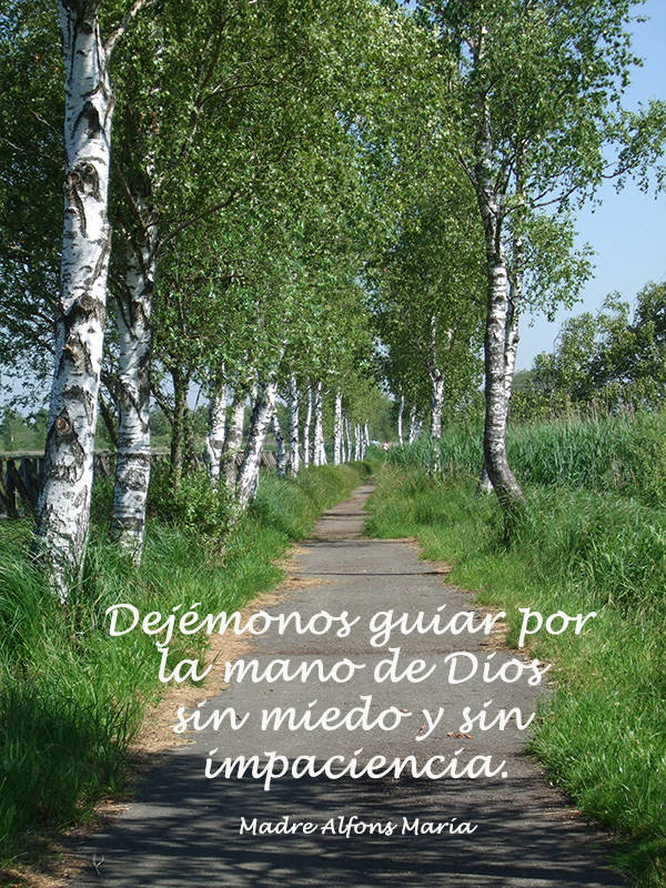 Dejémonos guiar por la mano de Dios sin miedo y sin impaciencia.d, without fear and without impatience.