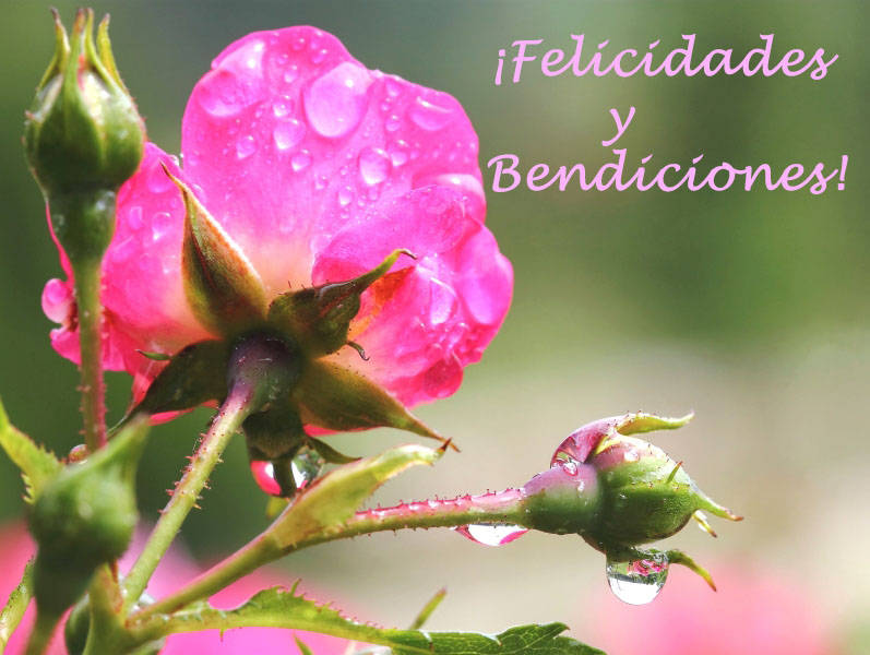 ¡Felicidades y Bendiciones!