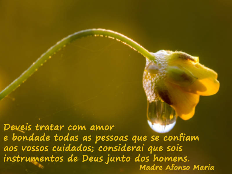 Deveis tratar com amor e bondade todas as pessoas que se confiam aos vossos cuidados; considerai que sois instrumentos de Deus junto dos homens.