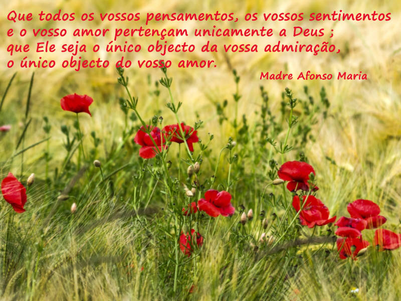 Que todos os vossos pensamentos, os vossos sentimentos e o vosso amor pertençam unicamente a Deus ; que Ele seja o único objecto da vossa admiração, o único objecto do vosso amor.