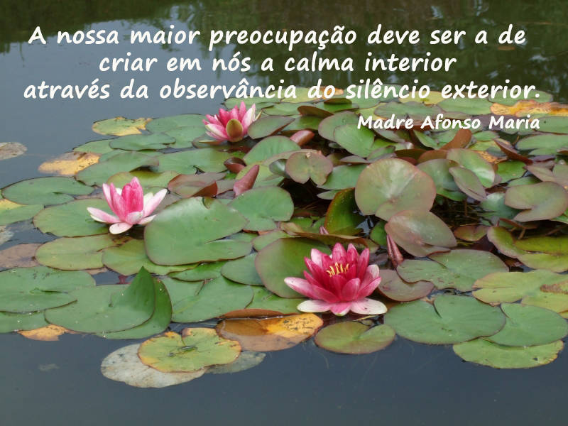 A nossa maior preocupação deve ser a de criar em nós a calma interior através da observância do silêncio exterior.