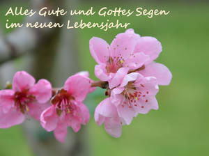 Alles Gute und Gottes Segen im neuen Lebensjahr