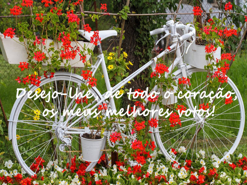 Desejo-lhe, de todo o coração, os meus melhores votos!