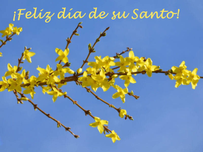 ¡Feliz día de su Santo!