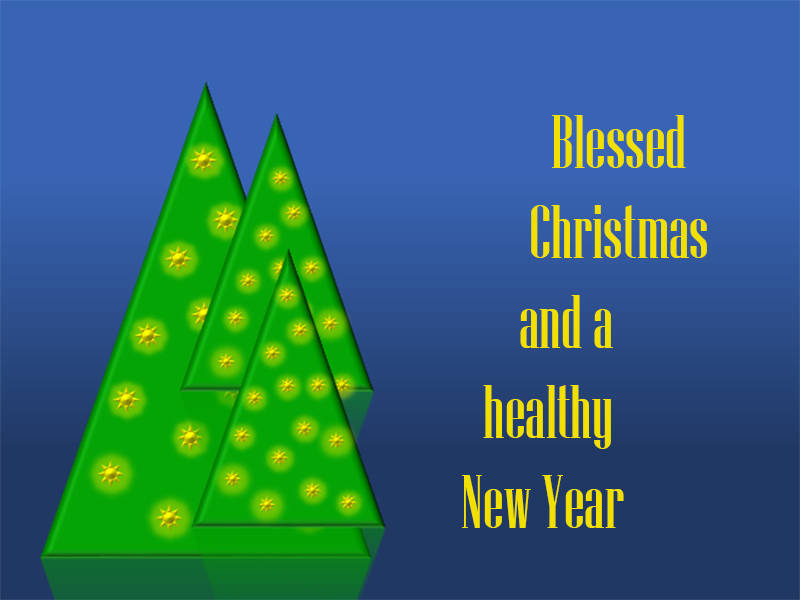 Blessed Christmas and a healthy New Year