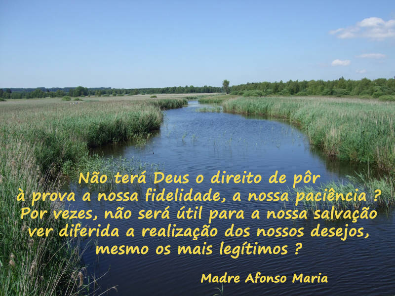 Não terá Deus o direito de pôr à prova a nossa fidelidade, a nossa paciência ? Por vezes, não será útil para a nossa salvação ver diferida a realização dos nossos desejos, mesmo os mais legítimos ?