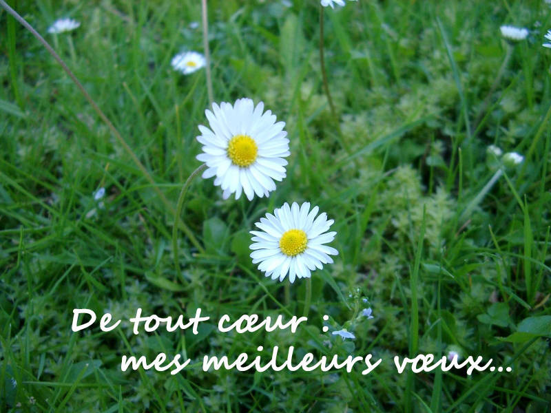 De tout cœur : mes meilleurs vœux…