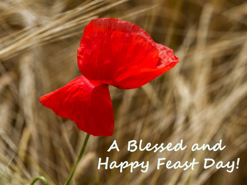 A Blessed and Happy Feast Day!