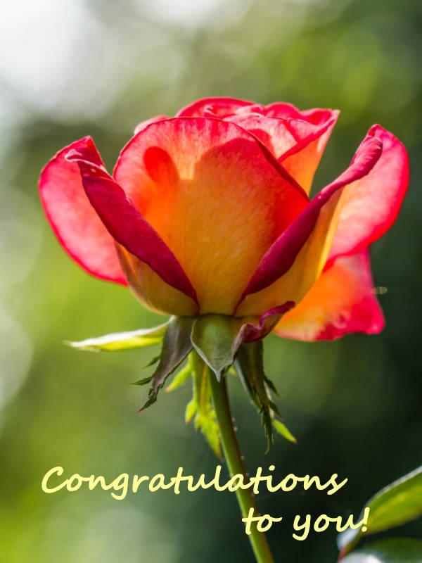 Congratulations to you!